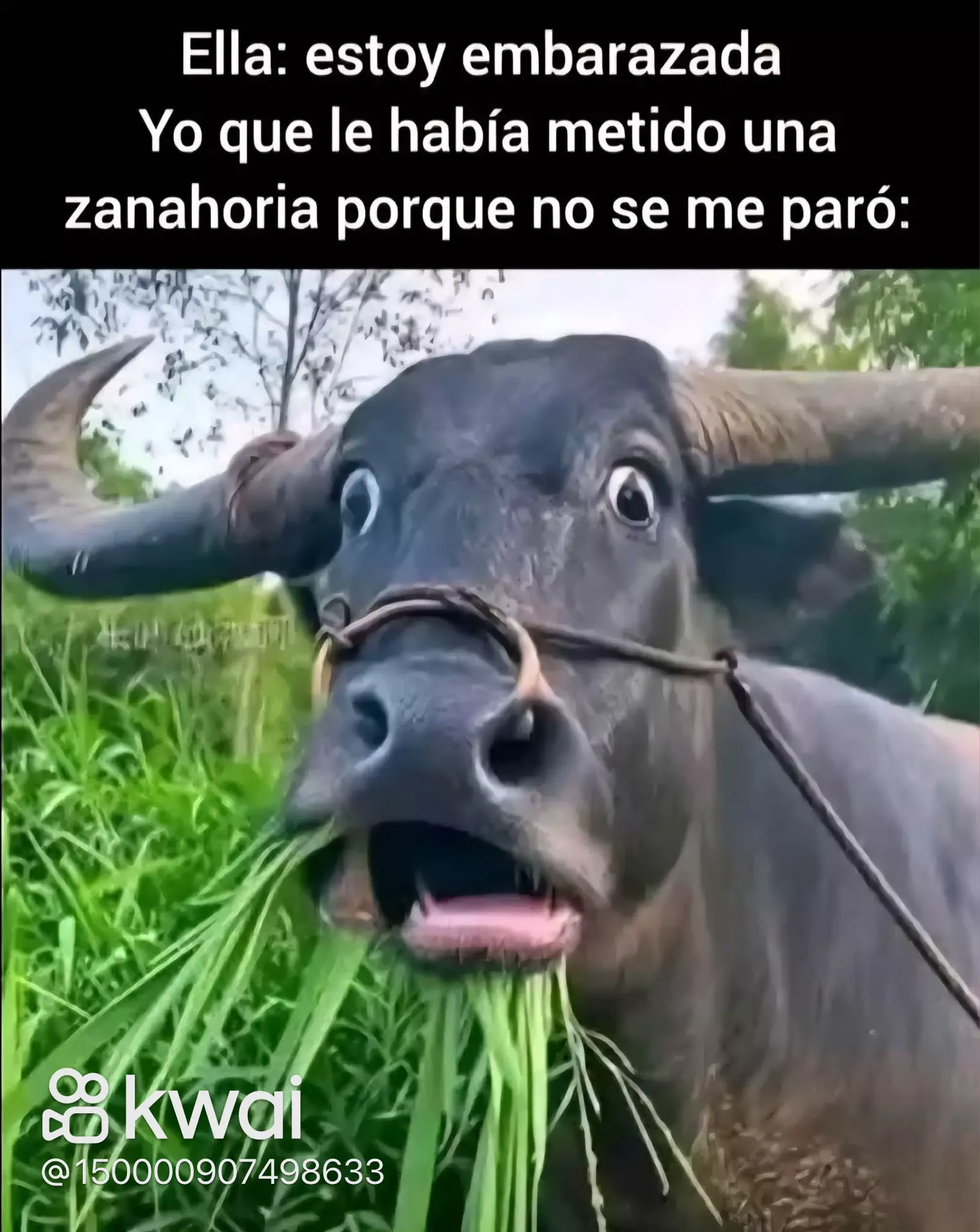 Estoy embarazada