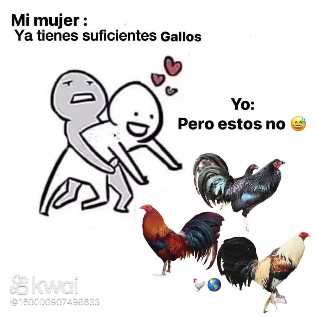 Los gallos